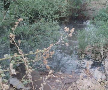 Estas colonias del norte de Hermosillo no tendrán agua las próximas horas