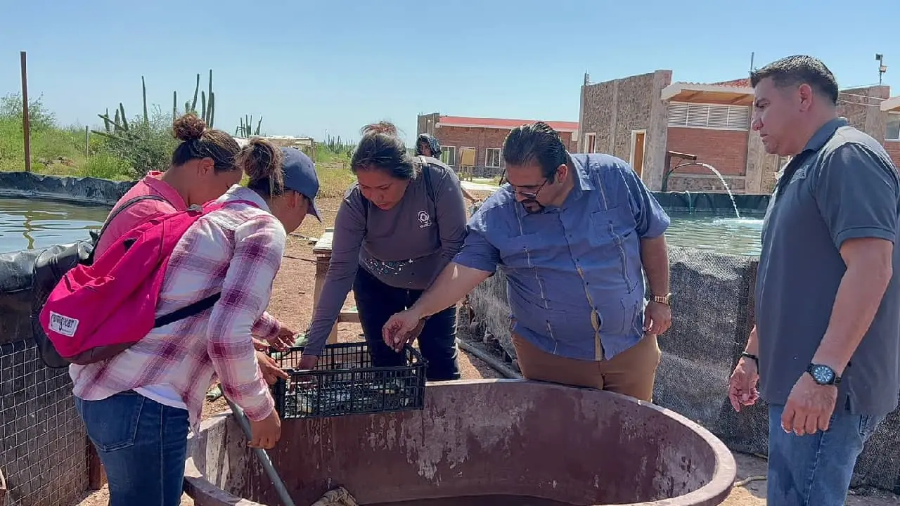 Buscan alumnos de la Universidad del Bienestar hacer criadero de Tilapia
