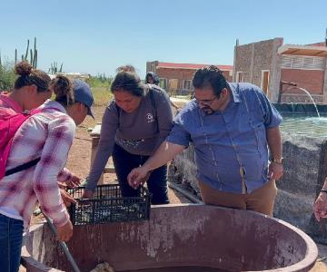 Buscan alumnos de la Universidad del Bienestar hacer criadero de Tilapia