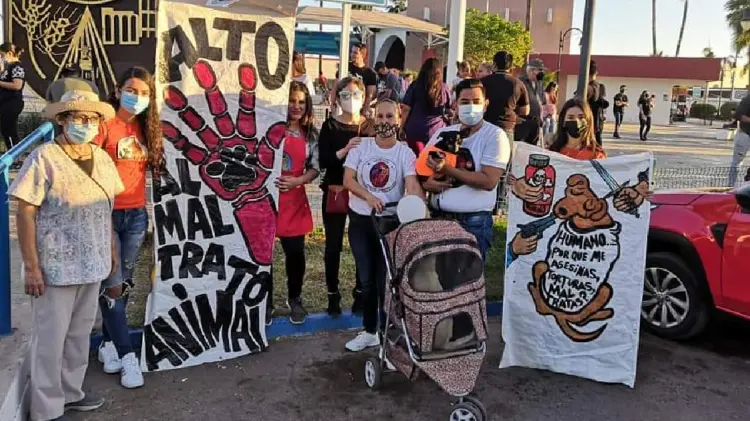 Invitan a sumarse a marcha contra maltrato animal en Navojoa (Foto:John Castellón/EXPRESO)