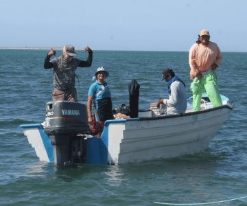 Así es el desafiante mundo de la pesca del callo de hacha en Bahía de Kino