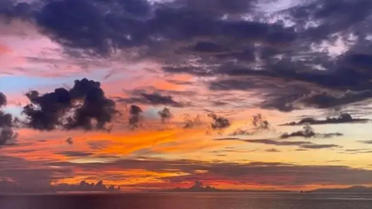 Foto: Especial / EXPRESO.