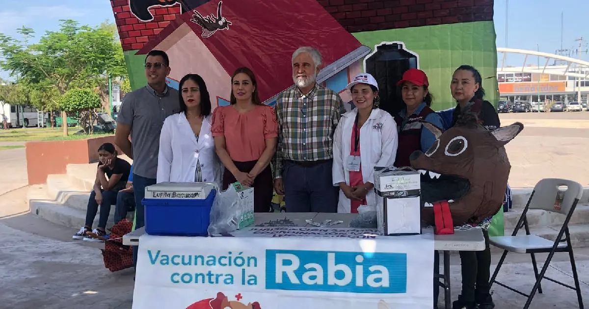 Refuerzan jornada contra rickettsiosis en Cajeme
