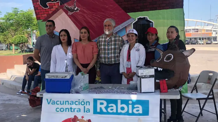 Refuerzan jornada contra la rickettsiosis en Cajeme (Foto:Ana Camargo/EXPRESO)
