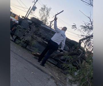 Hermosillense choca un árbol y organiza rifa para reparar los daños