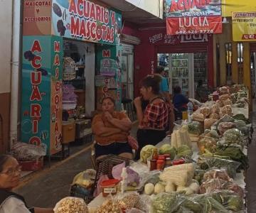 Calor baja las ventas de las marchantas hasta en un 70%