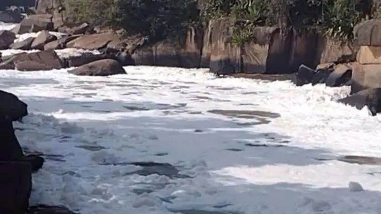 Foto: Especial / EXPRESO.