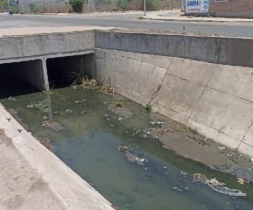 Vecinos piden dejen de tirar aguas negras al Dren Las Animas