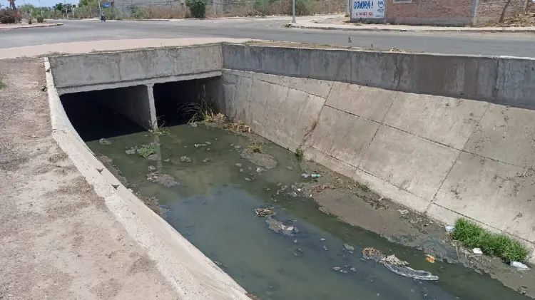 Piden navojoenses dejar de tirar aguas negras en Dren Las Animas (Foto:John Castellón/EXPRESO)
