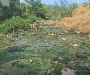 Vecinos de la Mocuzarit viven entre aguas negras