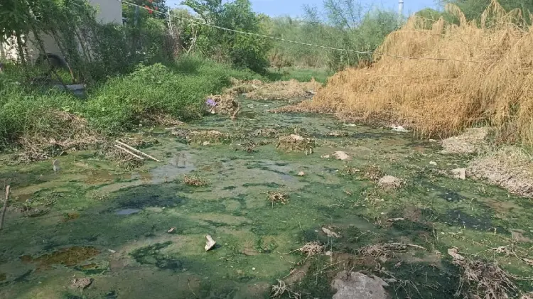 Vecinos de la Mocuzarit hartos por laguna de aguas negras (Foto:John Castellón/EXPRESO)