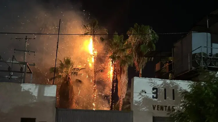 Rayo provoca incendio de palmeras en Navojoa (Foto:John Castellón/EXPRESO)