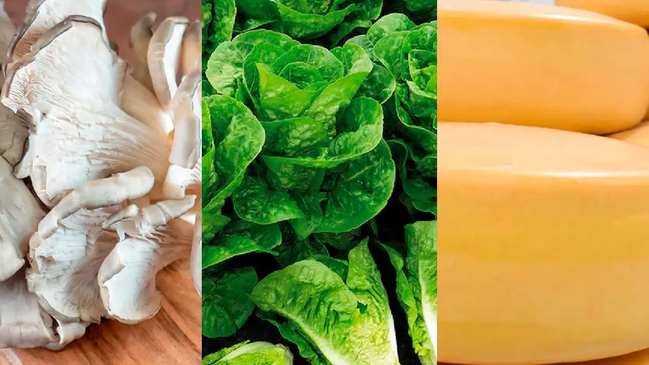 Alimentos que no recomiendan consumir después de las 7 de la noche