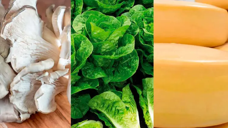 Se recomienda no consumir alimentos (Foto: Especial/EXPRESO)
