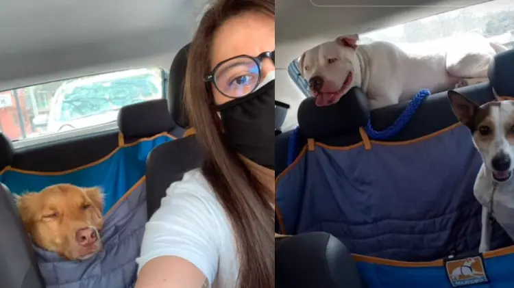 Karla acumula más de 120 mil likes en Tiktok. (Foto: captura de video)