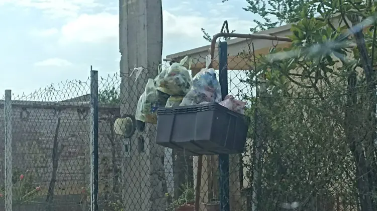 Reportan mal servicio de recolección de basura en Navojoa (Foto:John Castellón/EXPRESO)