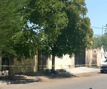 Hombre en situación de calle fallece bajo un árbol; posible golpe de calor