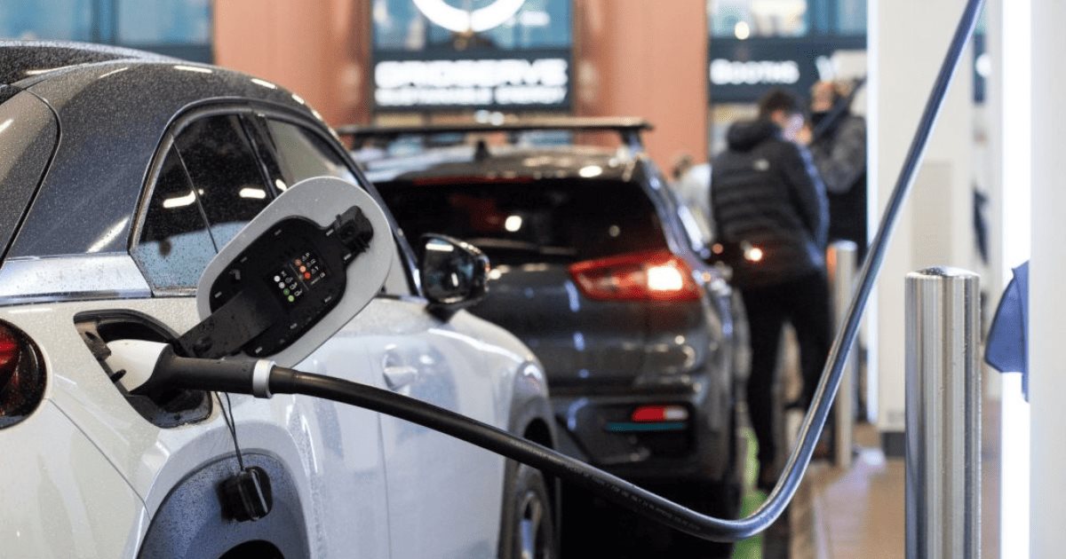Sonora: entre los estados con mayor alza en venta de autos verdes