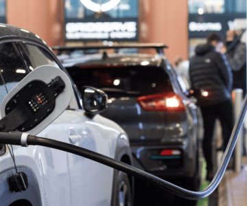 Sonora: entre los estados con mayor alza en venta de autos verdes