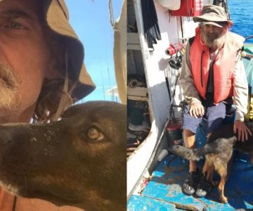 ¿Porque el náufrago australiano no pudo llevarse a su perrita Bella?