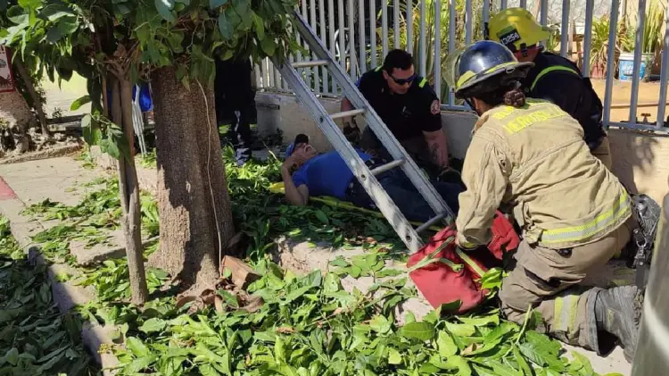 Hombre termina lesionado tras quedar atorado en un árbol (Foto:Tadeo Cruz/EXPRESO)