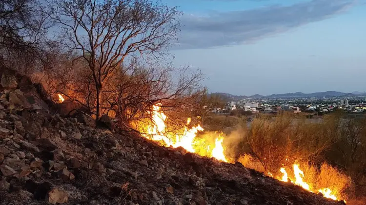 Bomberos atendieron incendio en Cerro del Bachoco (Foto:Cristian Ruíz/EXPRESO)