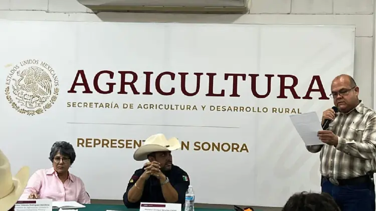Productores de trigo y maíz piden apoyo al campo mexicano (Foto:Ana Camargo/EXPRESO)