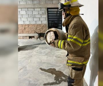 Bomberos retiran tanque de gas en mal estado en gasera de Empalme