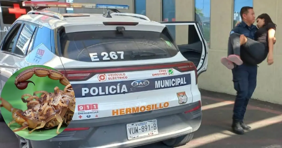 Joven es trasladada al hospital por picadura de alacrán en Carmen Serdán