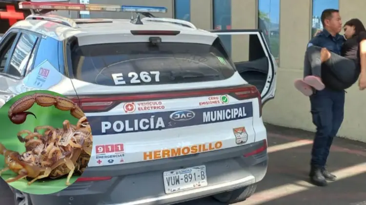 Joven trasladada al hospital por picadura de alacrán (Foto:Especial/EXPRESO)