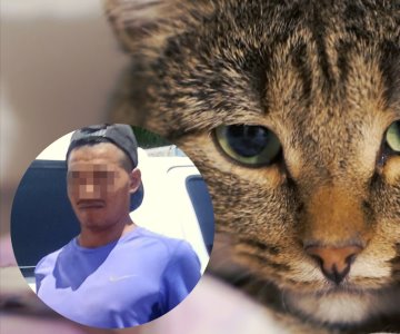 Por azotar a un gato contra la pared, Ángel Alberto ya es procesado: FGJE