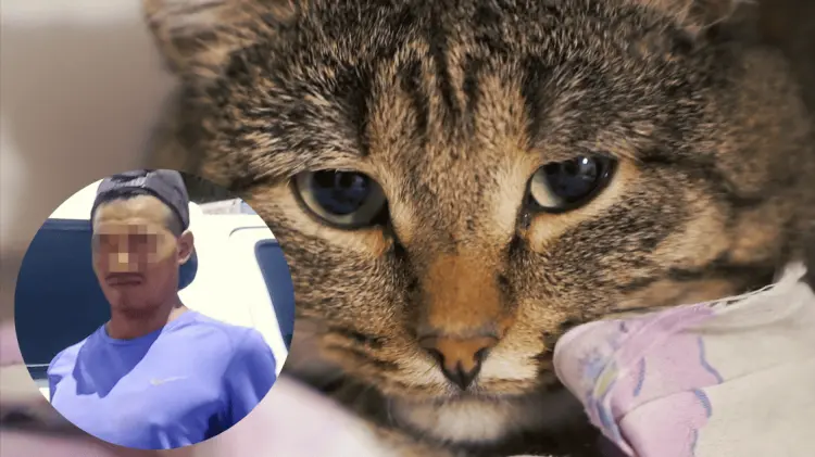 Ángel enfrentará proceso legal por el delito de maltrato animal. (Foto: Especial/EXPRESO)