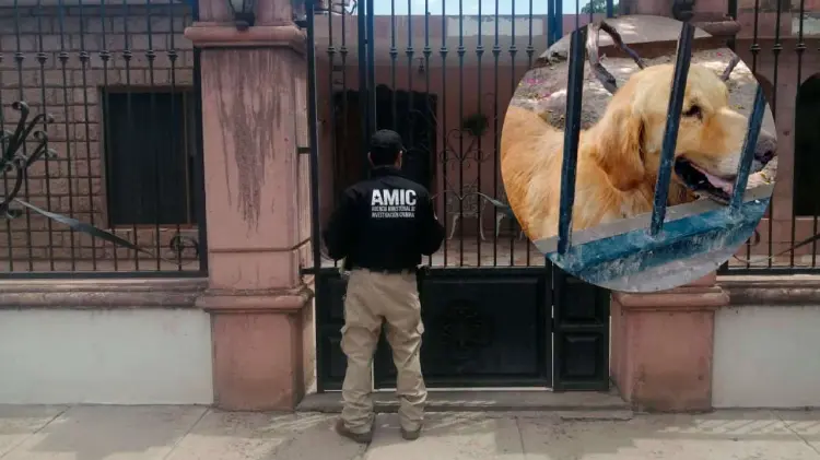 (Foto: Especial/EXPRESO)