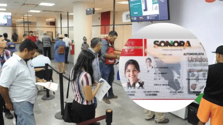 Secretaría de Hacienda da los precios de las licencias de conducir. (Foto: Especial/EXPRESO)