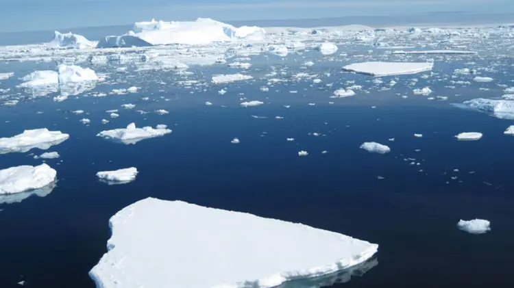 Foto: Especial / EXPRESO.