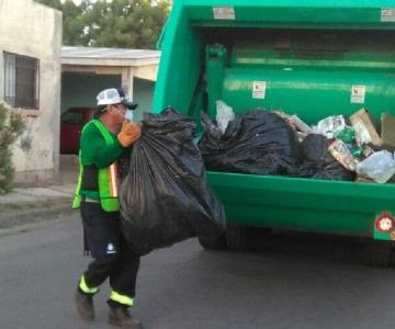 Suman 12 trabajadores de recolección deshidratados en Cajeme