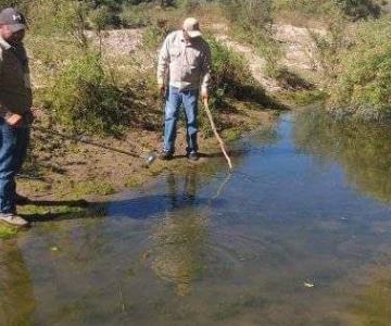 Navojoa sigue sin casos registrados de dengue: Álvarez Cevallos