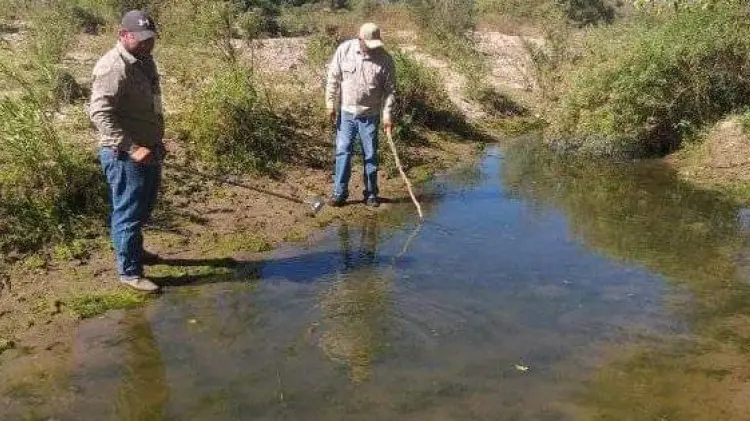 No hay casos de dengue confirmados en Navojoa (Foto:John Castellón/EXPRESO)
