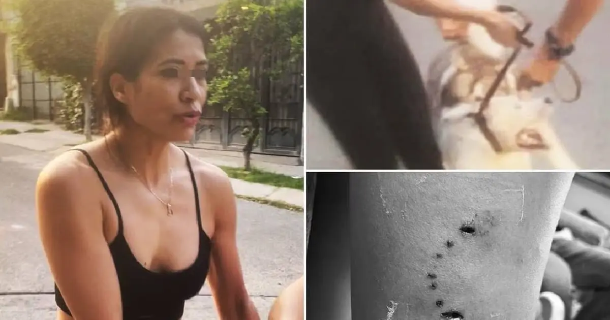 Denuncian a mujer que ordenó a su husky matar a otro perro en Jalisco