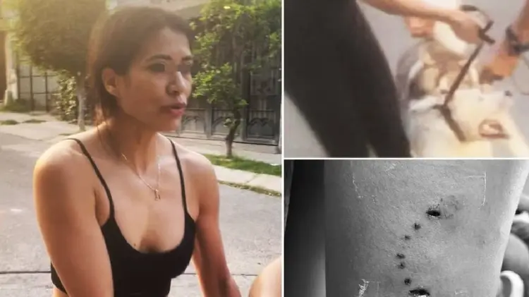 Denuncian en redes a mujer por muerte de un perro en Jalisco (Foto:Universal/EXPRESO)