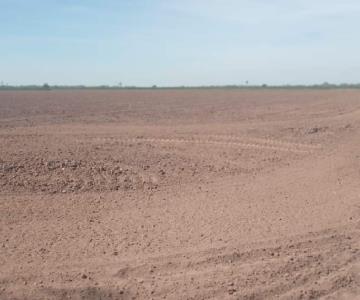 Productores esperan una mayor captación de agua en la presa del Mocúzari