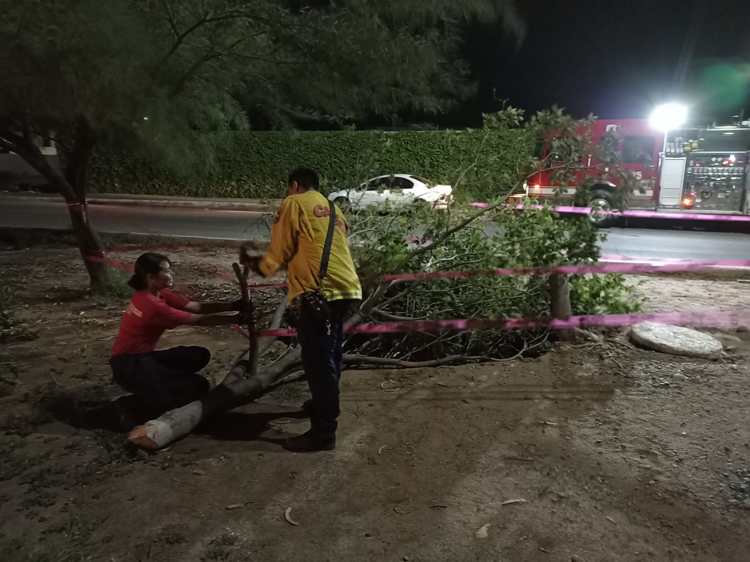 Aparece enorme socavón sobre el bulevar Centenario en Navojoa