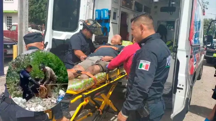 Agentes de la policía municipal lograron sacarlo del canal. (Foto: Especial/EXPRESO)
