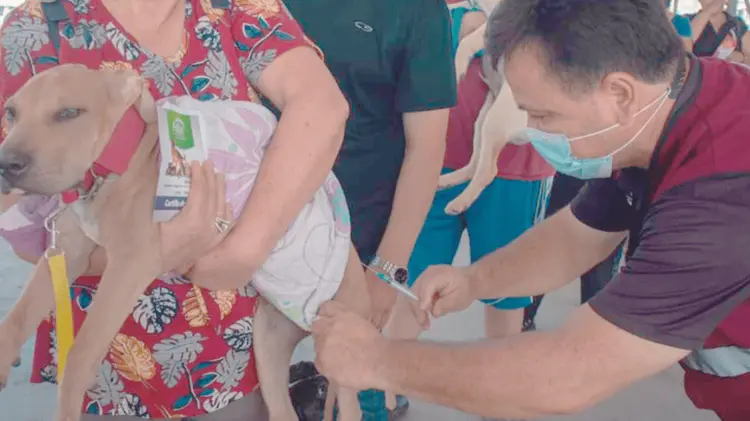 El Sector Salud para reforzar su diagnóstico y tratamiento oportuno. (Foto: Especial/EXPRESO)