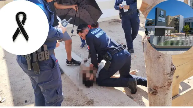 Muere hombre electrocutado en Tierra Nueva este viernes (Foto:Especial/EXPRESO)