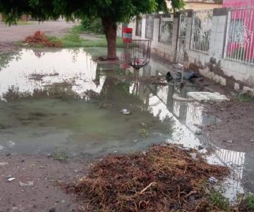 Vecinos de San Ignacio Cohuirimpo viven entre brotes de aguas negras