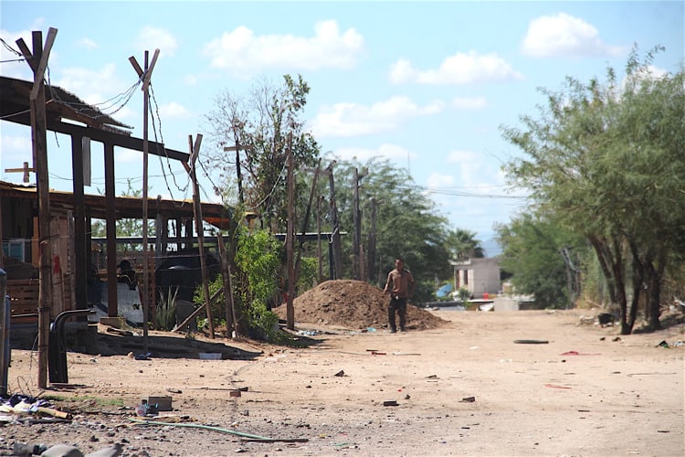 Vecinos de El Guayacán luchan por salir adelante