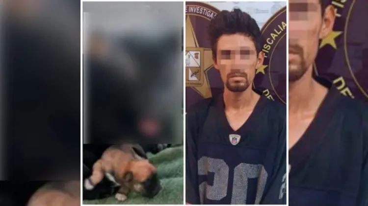Detienen a presunto agresor de Negrita en SLRC (Foto:Especial/EXPRESO)