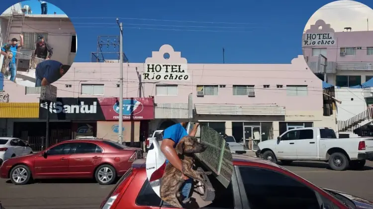 FGJE rescató 4 perros del techo de un hotel en Cajeme (Foto:Ana Camargo/EXPRESO)