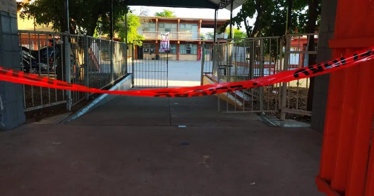 Bomberos retiran panal de abejas en secundaria; tres alumnos con picaduras